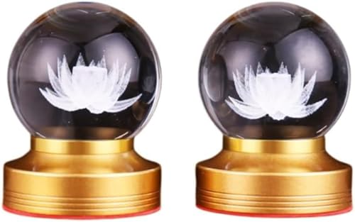 Bianstar@ؓ @̉ԃt[Cg 2ZbgzLEDƖbdE_Optb~E@E@vEފ݁EɍœKbCeAƖƂĂ[^XfUC (3.5C`̃NX^{[fUC,3F̃Cg)