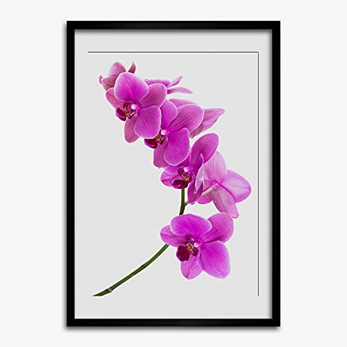 Cadre en Bois Photo Affiche 50x70 Tulup Orchidée Moderne