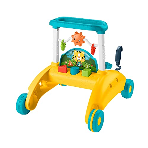 Fisher-Price Brinquedo de bebê Andador Primeiros Passos