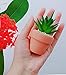 TIMECOSY Mini Macrame Plant Hanger Rear View Mirror Car Cactus Charm Decorations Boho Hanging Plant Holder, Tiny Car Succulent Gifts for Plant Lover, 10.5-Inch