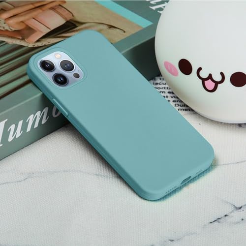 Image of ArmourPro Silicone Back Case for iPhone 15 Pro Max Soft-Touch Case | Moonstone Blue