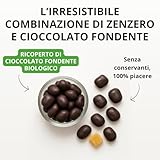 Zoom IMG-1 les papoteuses zenzero candito biologico