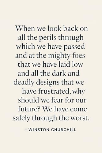 HardPress Winston Churchill Inspirational Quote Poster - 'Why should we