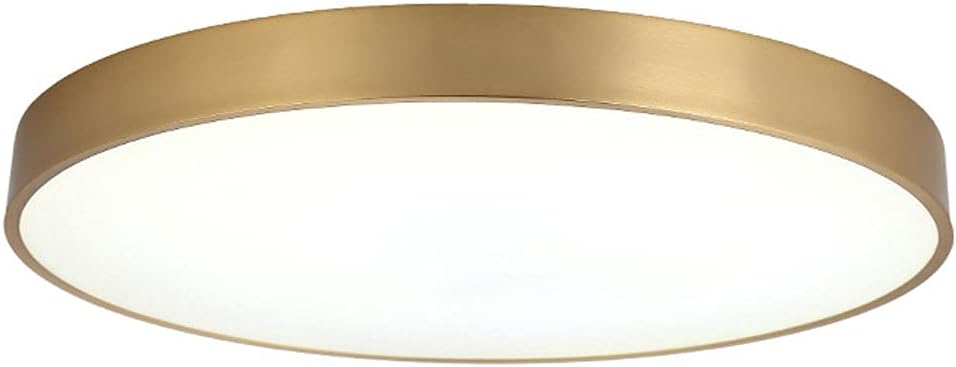 Gold Low Profile Ceiling Lights Hallway Adjustable Dimmable Flush Mount Ceiling Lamps 5000K Daylight White Slim Flat Panel 30W Ceiling Lights for Kitchen Corridor Bedrooms/Color/Large