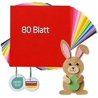 Miqio Fieltro para manualidades XL de 30 x 30 cm, 80 placas de
