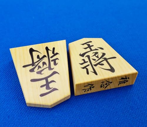  tO 䑠Y{k HΏ ʎdi˕E鉮~j֖tjʐ^̋͂Ē܂