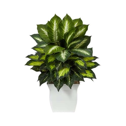 Nearly Natural 2ft. Golden Dieffenbachia Artificial Plant in White Metal Planter