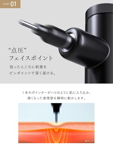 REBIVE LIFT POINTER MT-RLP-25B - 画像 4
