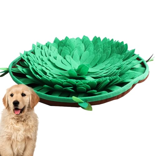 Qanment pXjbtBO}bgApXjbtBO}bg,pk^oR}bgybg̏Wpbh | |[^uk}bgAybgka}bgfBXyT[Ꮼ^Ƒ^p