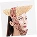 BESPORTBLE Fashionable Straw Sunshade Hat for Women Wide Brim Lightweight Breathable Beach Cap Chic Summer Headwear with UV Protection Cool and Comfortable Outdoor Accessory