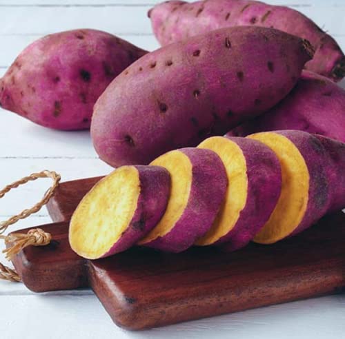 Chuxay Garden Dark Pink Sweet Potato Seed 100 Seeds Edible Vegetable Survival Gear Food Seeds Easy To Grow & Maintain #TOP3
