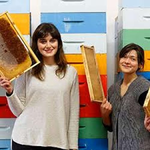 G.O. AMBIRE Api Libere Codemondo (RE) Intervista a Annalisa Casali Podcast Por  arte de portada