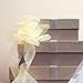 Cinta de Organza Beige para Regalo, Cinta Ancha Imagen de Cinta de Organza Beige para Regalo, Cinta Ancha