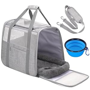 JUNGYOUN Premium ​Cat Carrier – ​Pet Carrier for Cat & Small Dogs up to 15lbs – ​Airline Approved Travel Dog Carrier with Anti-Escape Zippers, Collapsible Travel Bowl & Padded Strap