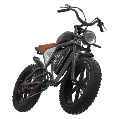 JANSNO X70G Bicicleta Eléctrica Adulto Montaña: Dual Batería 48V 37Ah 20' x4.0