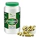 VITAIDEAL VEGAN® Potenzholz (Muira puama) 90 KAPSELN rein natürlich ohne Zusatzstoffe.