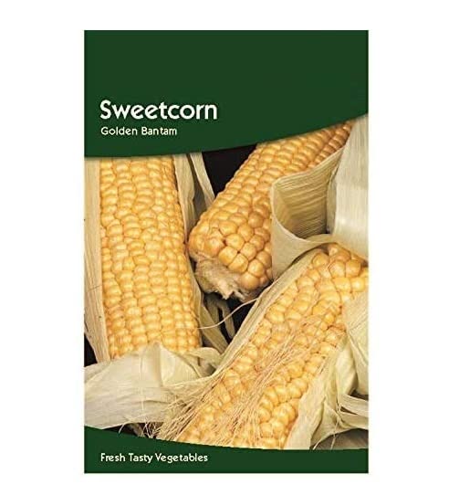 VibeX Sweetcorn Golden Bantam Seeds-250 Seeds (B0BBGRW3RT) Amazon Price History, Amazon Price Tracker
