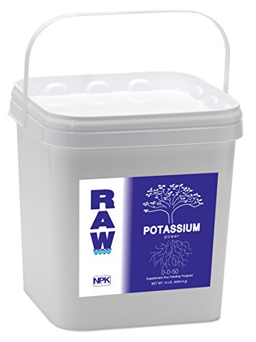 RAW Potassium 10 lb