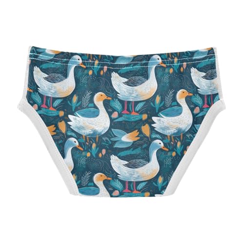 visesunny Boys Cotton Underwear Night Swan Lotus Printed Toddler Soft Training Briefs Size 2T-8Y for Kids2