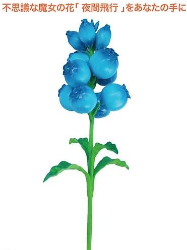 Amazon Co Jp メアリと魔女の花 夜間飛行 劇場グッズ 暗闇でやさしく光る不思議な魔女の花 ホビー 通販