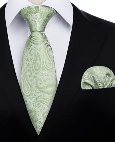 Image of HISDERN Ties for Men Paisley Floral Mens Ties and Pocket Square Cufflinks Set Classic Business Necktie Handkerchief