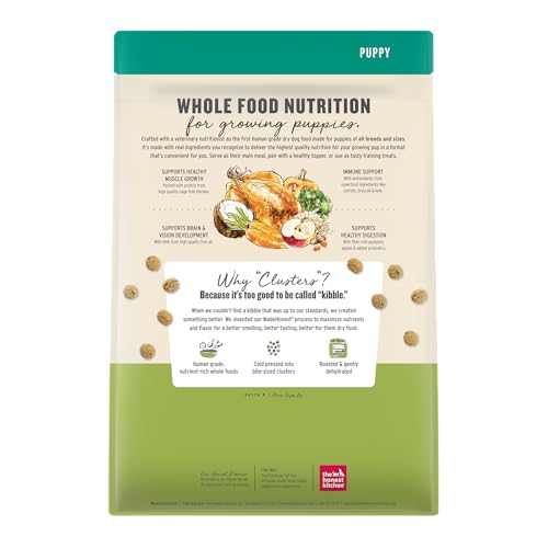 Image of The Honest Kitchen Puppy Whole Grain Chicken & Superfoods Whole Food Clusters, Vet Crafted Human Grade Dry Dog Food for Puppies, Supports Brain & Eye Health, Healthy Growth & Digestion, 4 lb Bag