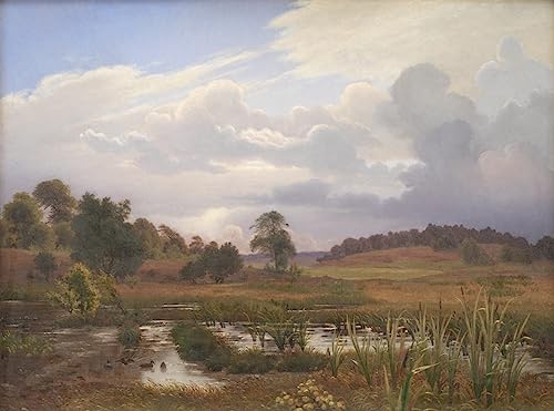 Affiche Toile Paysage près de la forêt Nordskoven Jægerspris Zealand