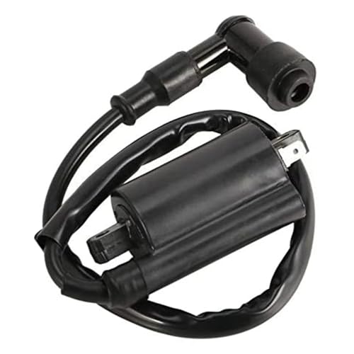 Bobine d'allumage VX250 fabrication précise et durable - 2