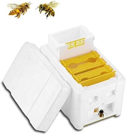 TANGON Flow Beehive Box Honey Plastic Frames Beekeeping Equipment Kit, Beekeeping Beehive Tools for Beekeepers (A)