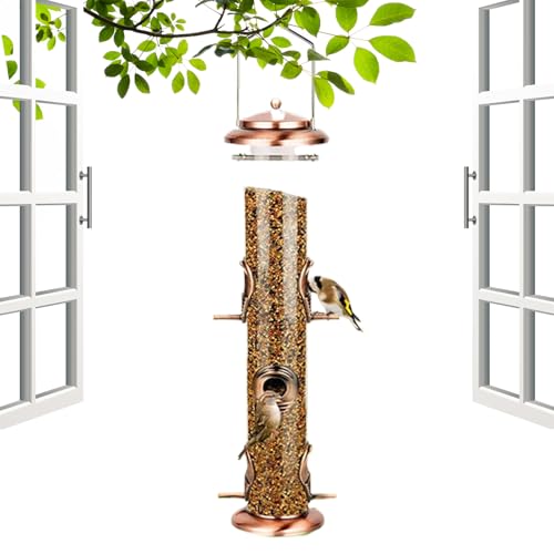 Mangeoire oiseaux extérieur en acrylique résistant aux intempéries