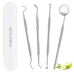 Dental Tools, Professional Teeth Cleaning Oral Care Hygiene Kit, Stainless Steel Dental Pick Tooth Scraper Tartar Plaque Remover for Dentist, Personal, Pet Use with Storage Box