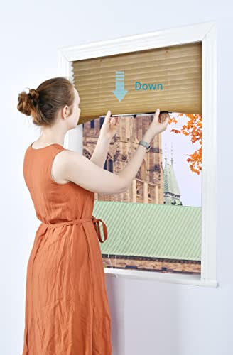 Ecfac Easy Up & Down Pleated Window Shades,Temporary Window Blinds,36In X 64In (Fits Window Width 18"-36"), 2Pcs-Pack, Light Filtering,Easy Trimming And Installing, (Natural #TOP1