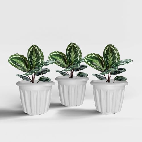 Image of YUCCABE ITALIA SHERA Floot 8 Inch Plastic Flower Pot 3 Piece Set of Round Shape Planter for Home Garden Seedling Planter for pots (White)
