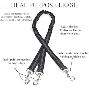 Hands Free Dog Leash – Hands Free Dog Leash for Large Dogs w/Water Bottle – Waterproof Waist Leash for Dog Walking 2 Dogs – Reflective Running Leash for Dogs- No Hands Dog Leash Waist Belt