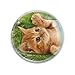 Deluxebase Magnidome - Chaton de Aimant Chat Mignon pour Frigo en Verre de Cristal pour Enfants. Magnifiques dômes magnétiques pour la décoration de la Maison