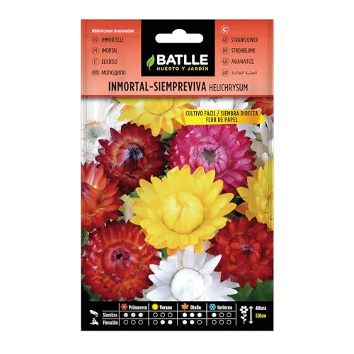 Semillas Batlle - Semillas De Inmortal Siempreviva Flor De Papel