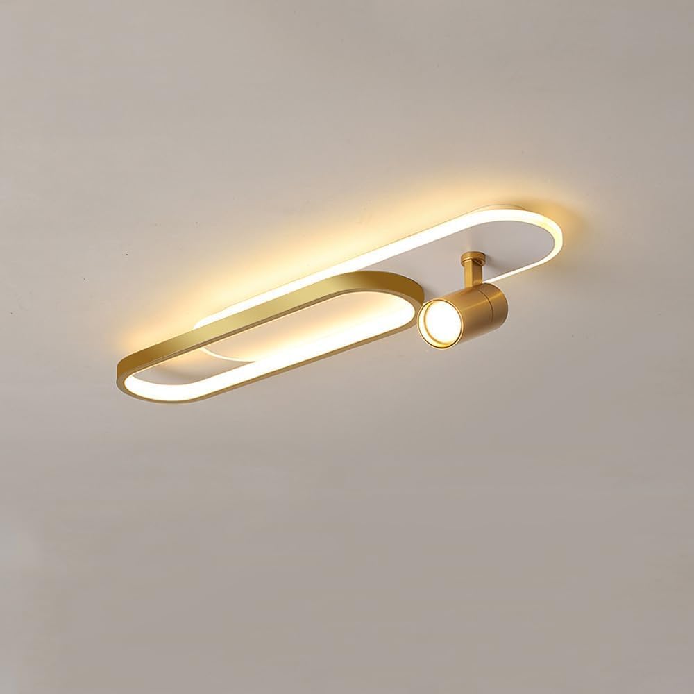 Modern Ceiling Lamp with Adjustable Angle Spotlight Indoor Lighting Fixtures,Led Ceiling Pendant Lamp