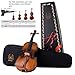 Rhythm Violin Set for Beginners,Acoustic Violins Starter Kit Package for Student,Beginners Fiddle with Hard Case, Rosin, Shoulder Rest, Bow, and Extra Strings (MATTE, Full)