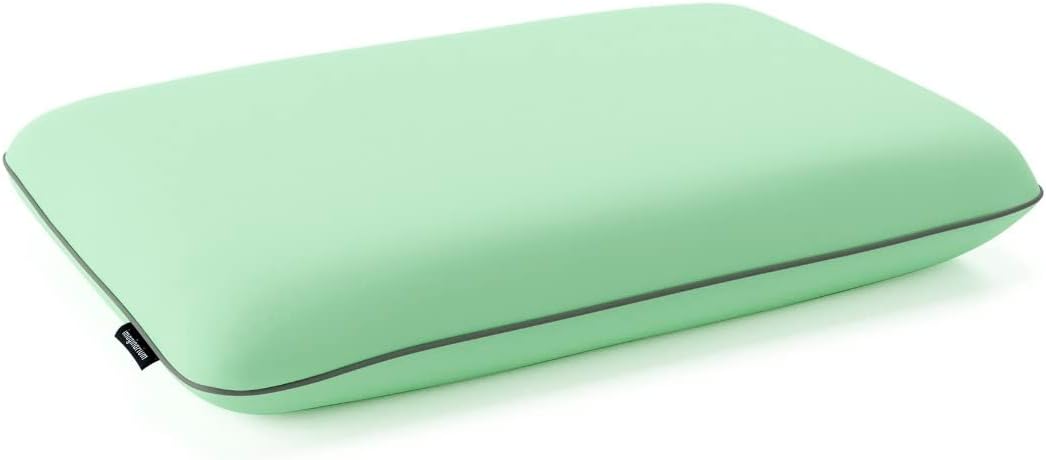 Imaginarium Fun Pullow Memory Foam with Cool-to-The-Touch Cover, Standard/Queen 16" x 24" (Mint Green)