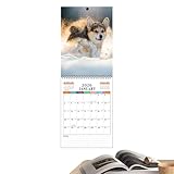 Cadeau pour toutes les occasions : convient pour les célébrations polyvalentes, ce calendrier mural améliore les moments festifs avec style et fonctionnalité, choix attentionné pour partager des expériences spéciales avec un style pratique et durable