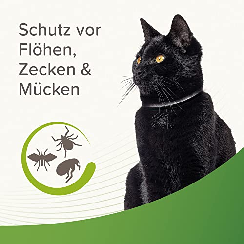 Beaphar Zecken- und Flohschutz Halsband reflektierend Katze, 35cm