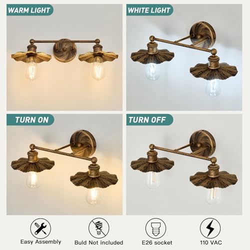 Image of ZGLAOJT 2 Light Vintage Vanity Light Oil Rubbed Bronze Bathroom Light Fixtures Over Mirror.