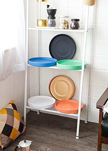 Woiida 12 Inch Large Ceramic Saucer - Ceramic Drainage Tray For Plant Pot (Matte White) #TOP7