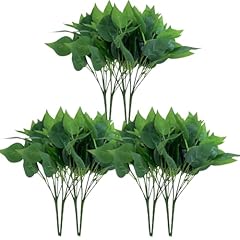 12 Bundles Pothos