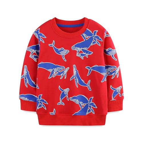 Boys Sweatshirts Casual Sweatshirts Cotton Sweatshirts Long Sleeve T-shirts Crew Neck Cartoon Tops for Boys-295