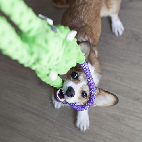 ZippyPaws - RopeTugz Green Monkey Dog Toy - Durable Rope, Squeaky Chew Toy, Perfect for Tug of War, Suitable for Small, Medium, and Large Breeds - Machine Washable