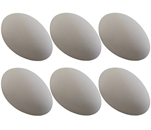 Rite Farm Products 6 Pack White Ceramic Dummy Goose Duck Nesting NEST Training Egg Hatching Craft