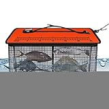 Compagnon Pêche Adaptable : Ce panier de pêche flottant soutient l'exploration des ruisseaux et la pêche aux roches. Il sert efficacement de contenant temporaire pour le poisson, avec des caractéristiques adaptables pour stocker les appâts vivants dans différents cadres.