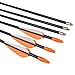 Elong Fiberglass Arrows Archery 26 Inch Target Shooting Practice Safetyglass Recurve Bows Suitable for Youth Children Woman Beginner (6 pcs)