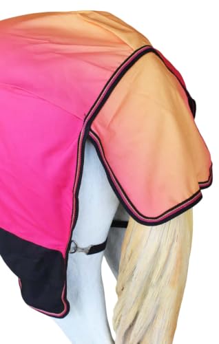 Image of Challenger 1200D Horse Turnout Waterproof Heavy Weight Winter Blanket 5B111